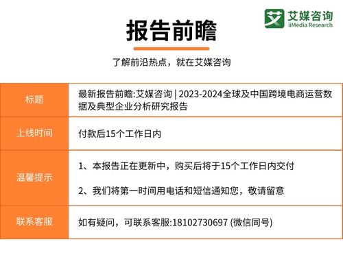 2023-2024年全球及中國跨境電商運(yùn)營數(shù)據(jù)與典型企業(yè)分析報告
